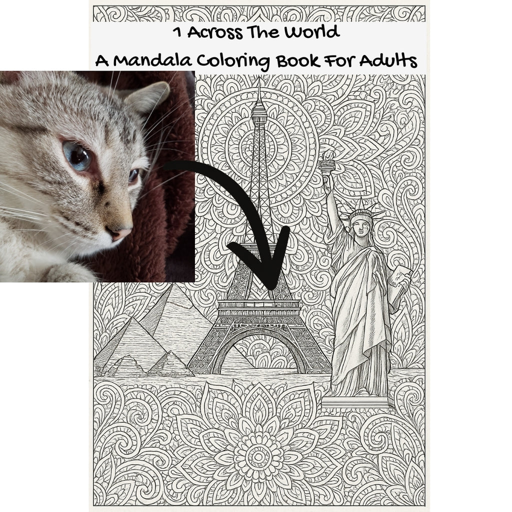 1 Across The World: A Mandala Coloring Book For Adults