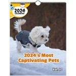 92250d30-9a24-403f-9146-ae6995a5488f