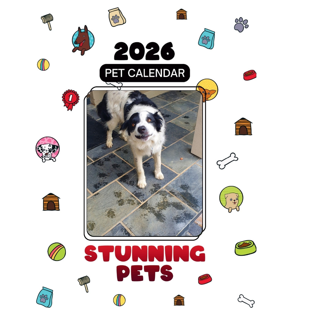 1 Headlines Stunning Pets: A 2026 Pet Calendar