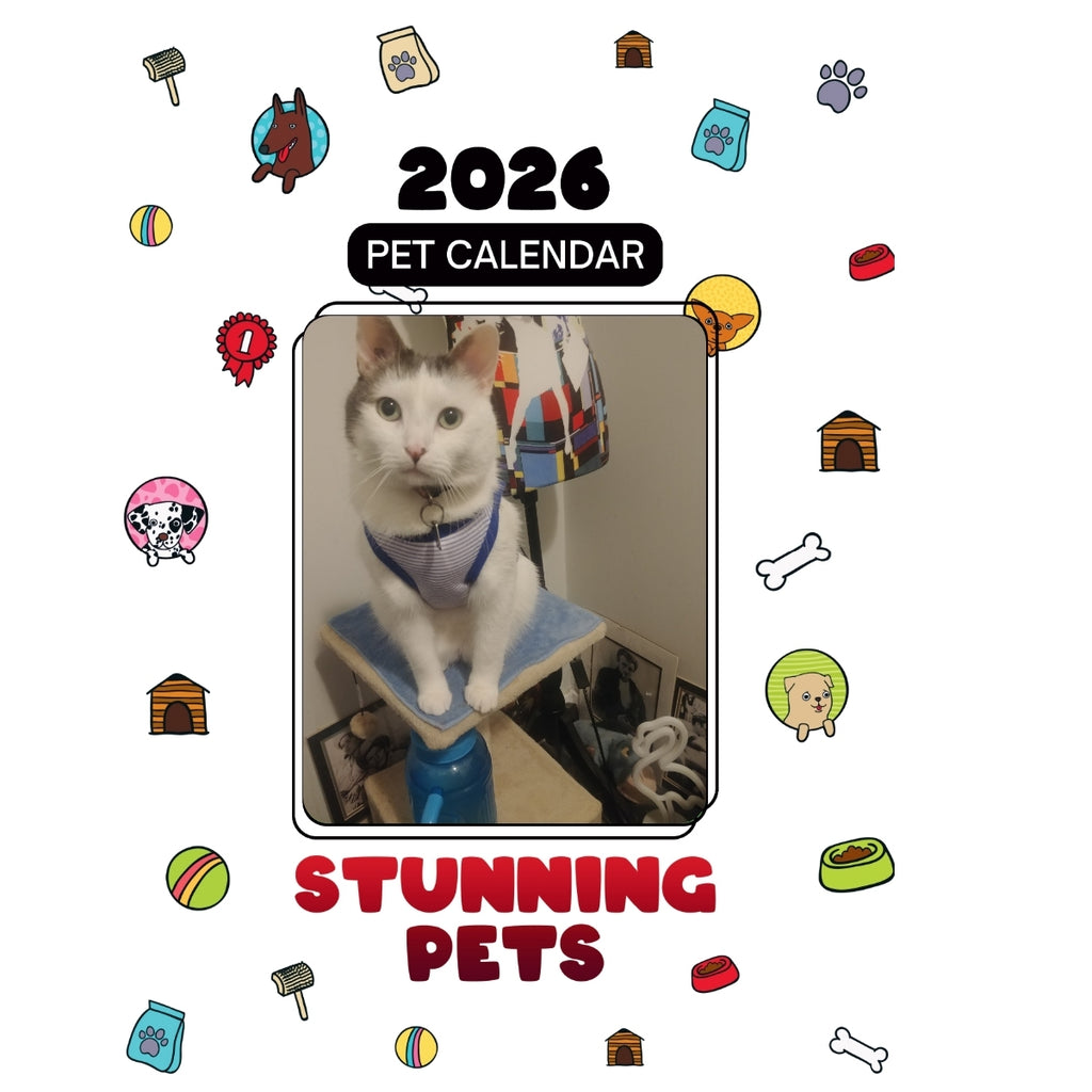 1 Headlines Stunning Pets: A 2026 Pet Calendar