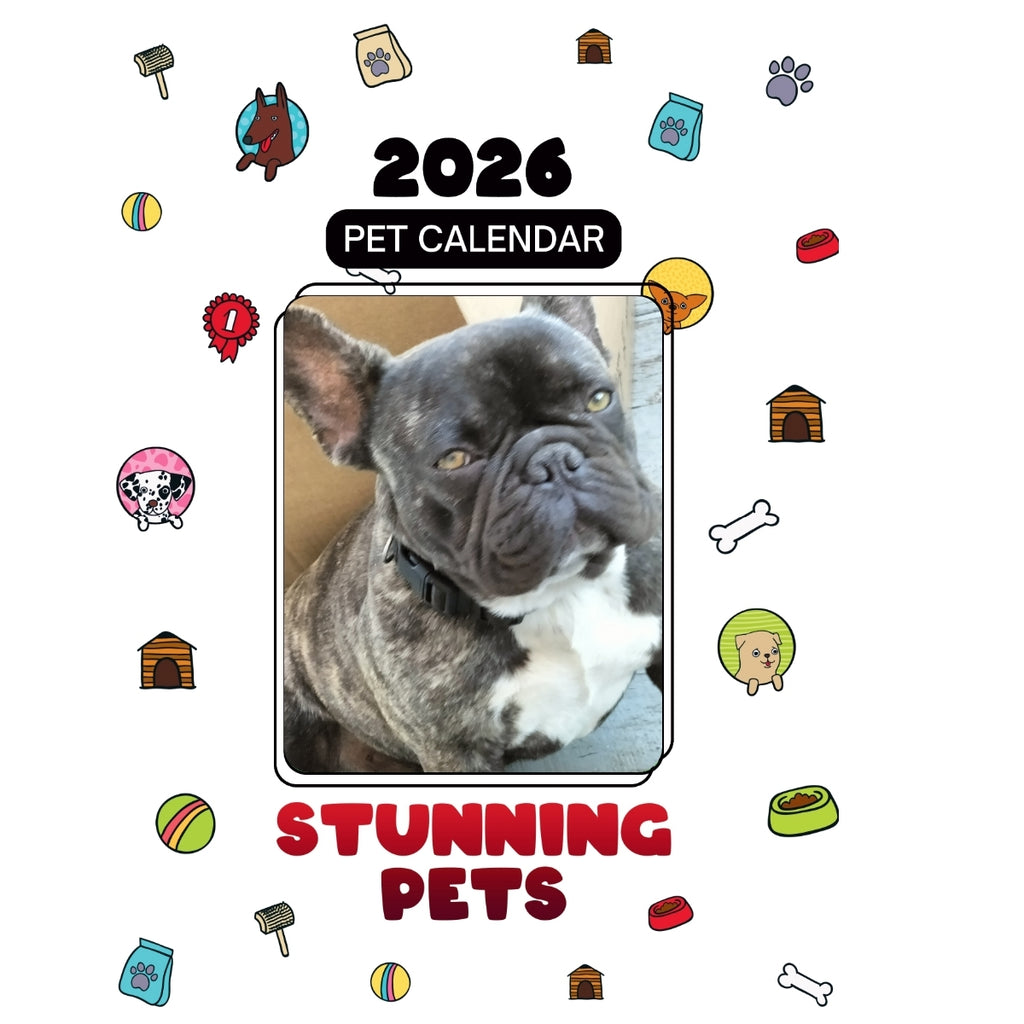 French Bulldog Headlines Stunning Pets: A 2026 Pet Calendar