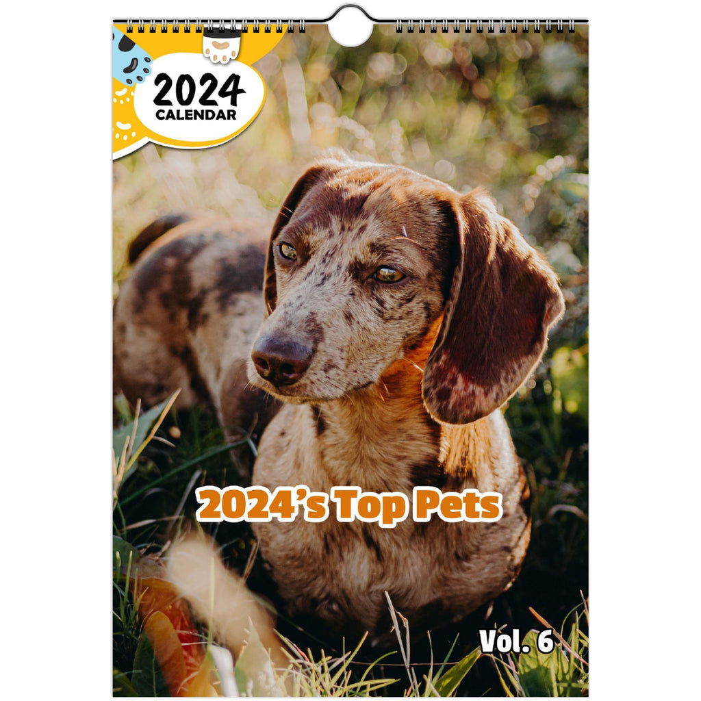 2024's Top Pets Volume Six: 2024 Wall Calendar (Published)