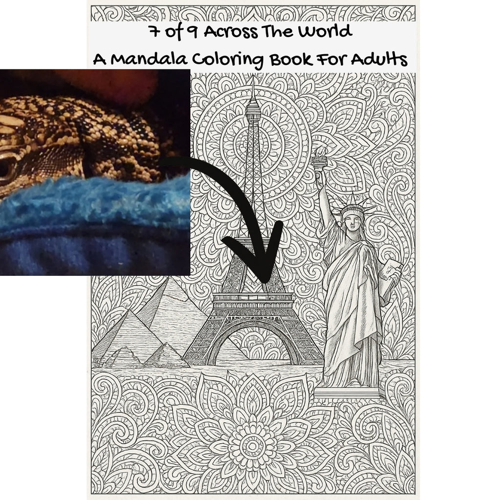 7 of 9 Across The World: A Mandala Coloring Book For Adults