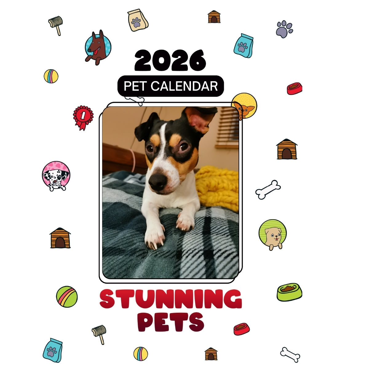 1 Headlines Stunning Pets: A 2026 Pet Calendar