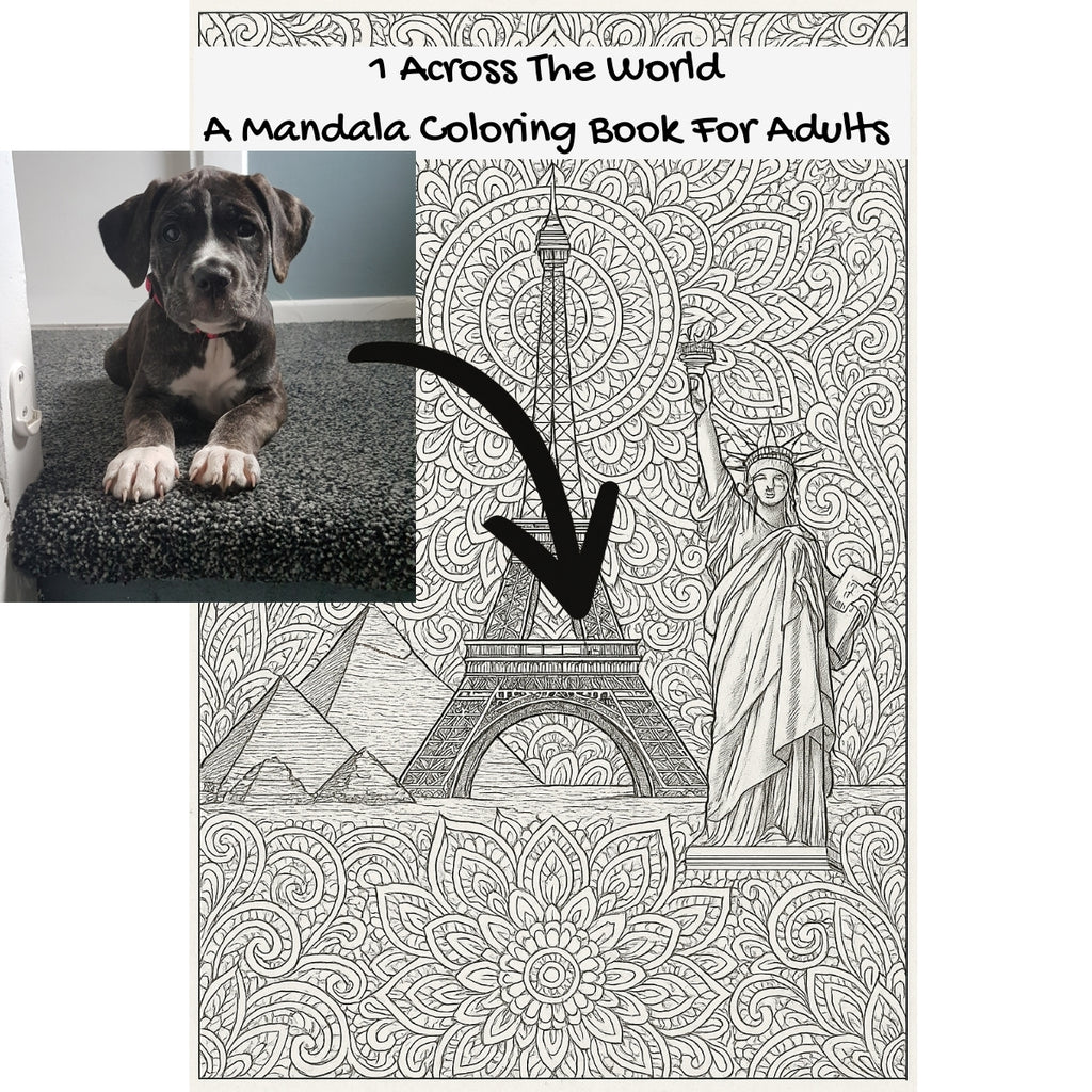 1 Across The World: A Mandala Coloring Book For Adults