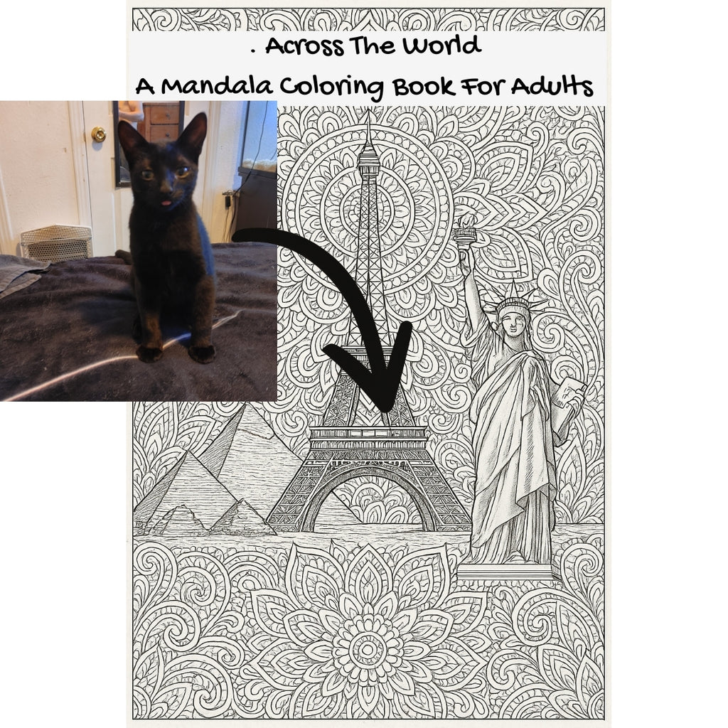 . Across The World: A Mandala Coloring Book For Adults