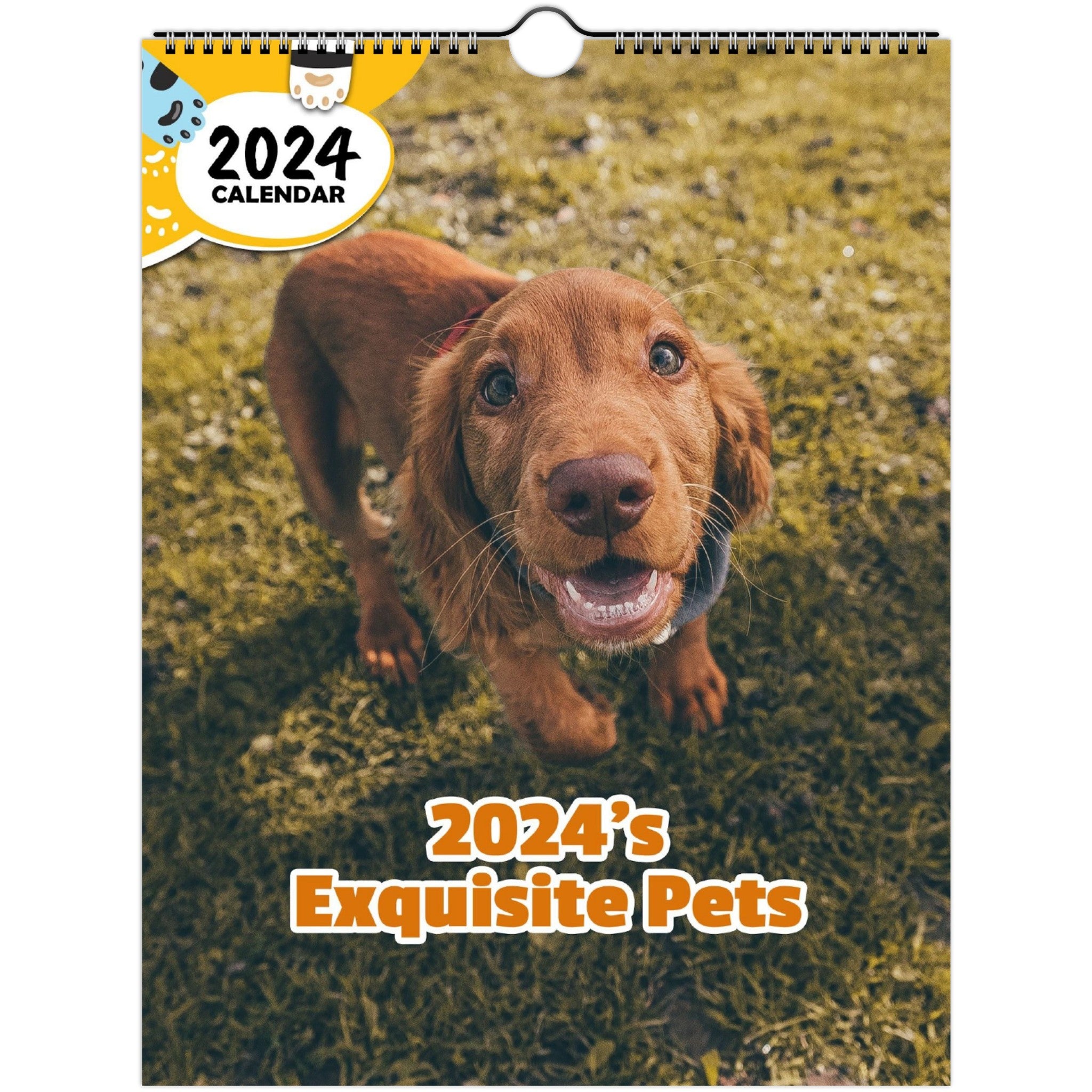2024's Exquisite Pets: 2024 Wall Calendar (Published)