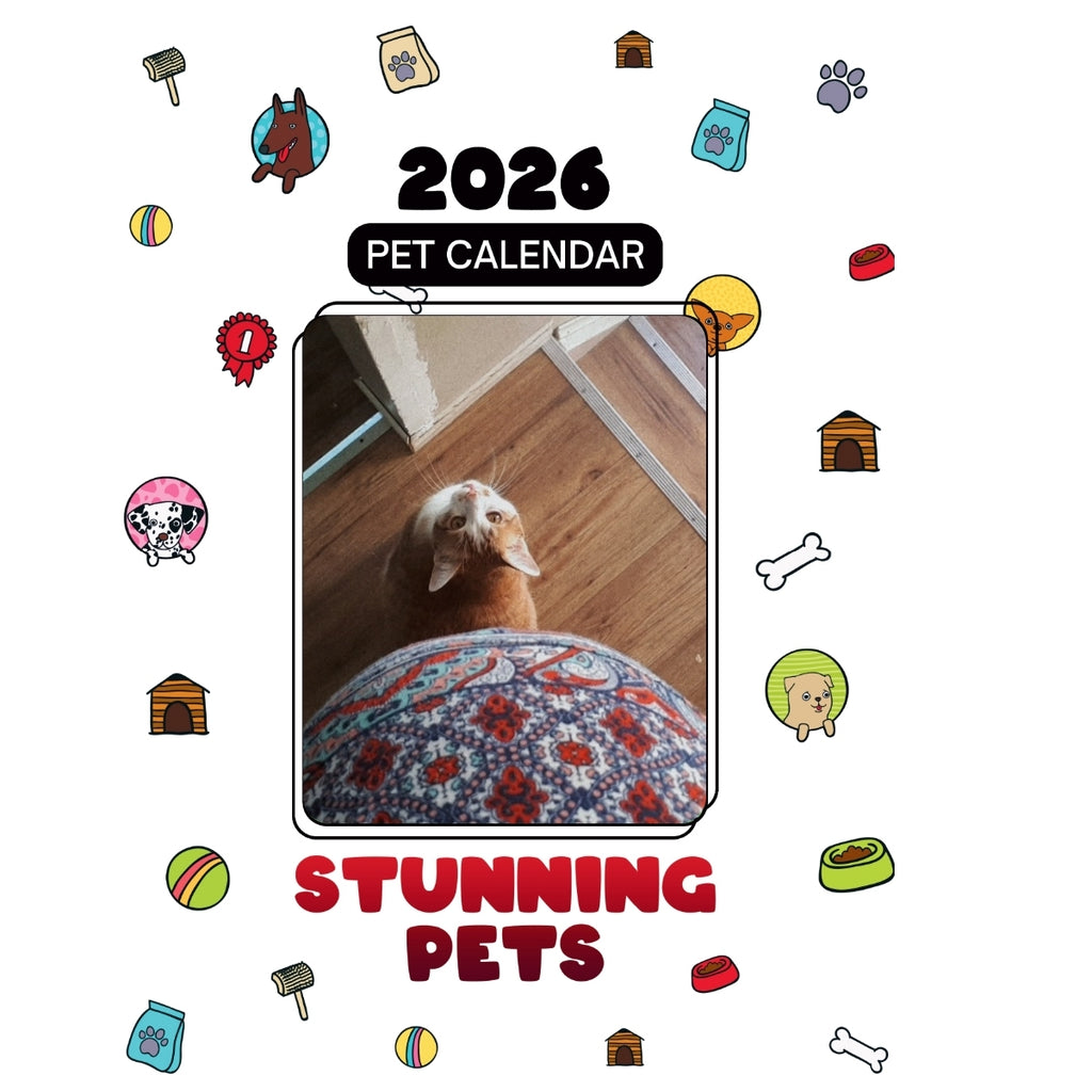 1 Headlines Stunning Pets: A 2026 Pet Calendar