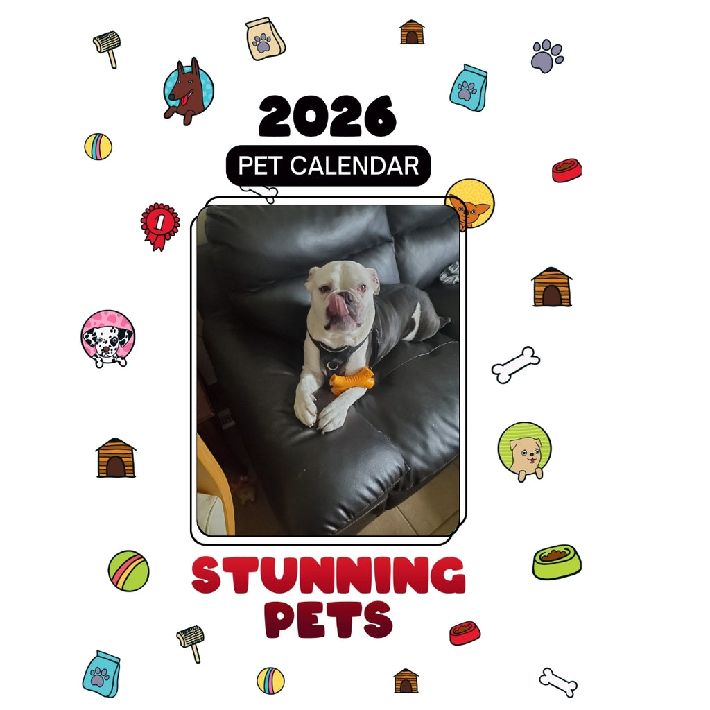 1 Headlines Stunning Pets: A 2026 Pet Calendar