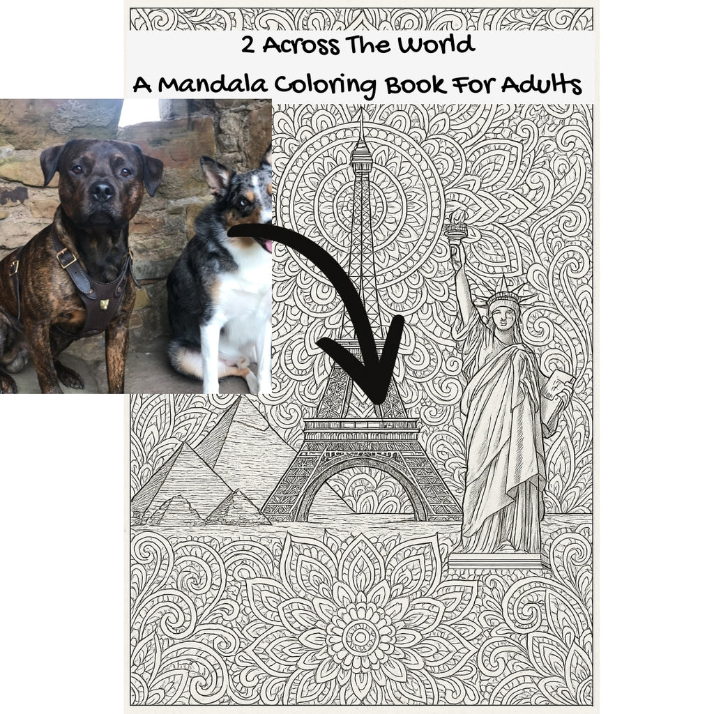 2 Across The World: A Mandala Coloring Book For Adults