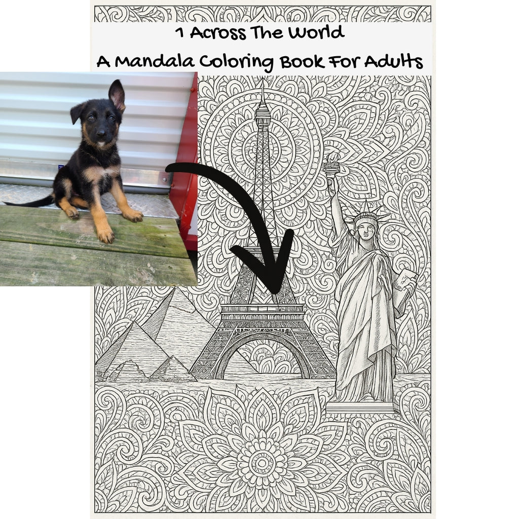 1 Across The World: A Mandala Coloring Book For Adults