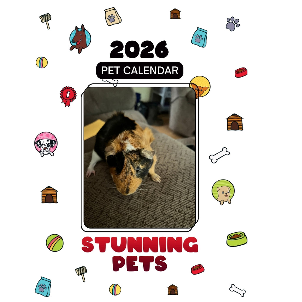 Guinea Pig Headlines Stunning Pets: A 2026 Pet Calendar