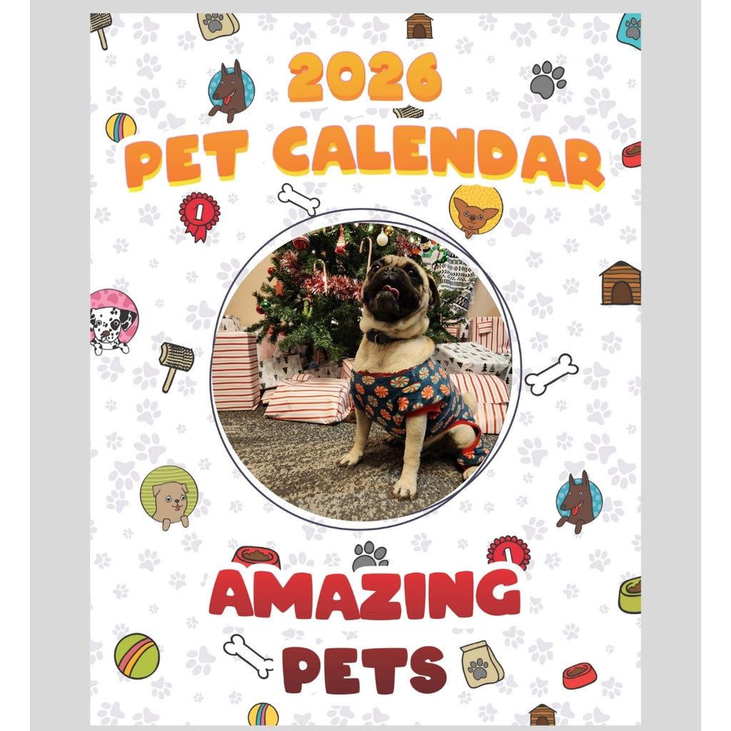 Pugsley Stars in Amazing Pets: A 2026 Pet Calendar