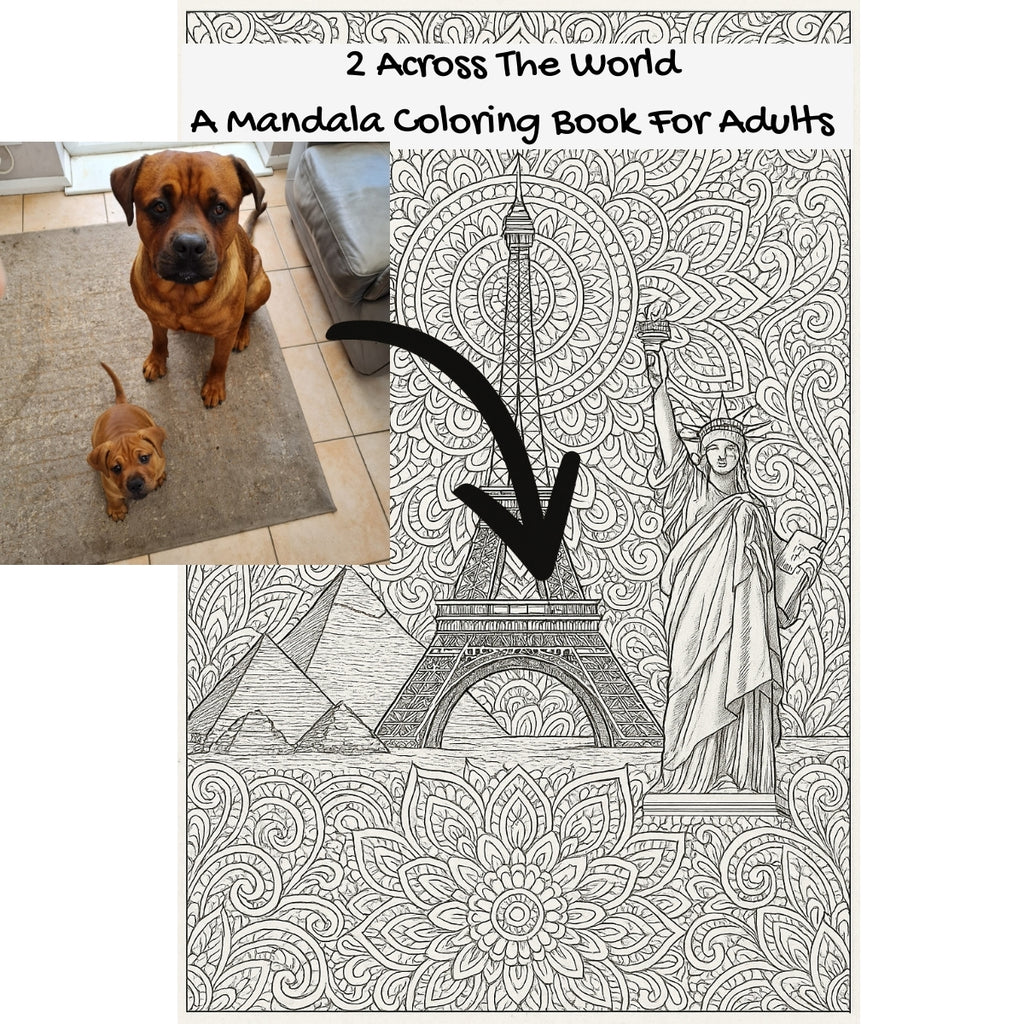 2 Across The World: A Mandala Coloring Book For Adults