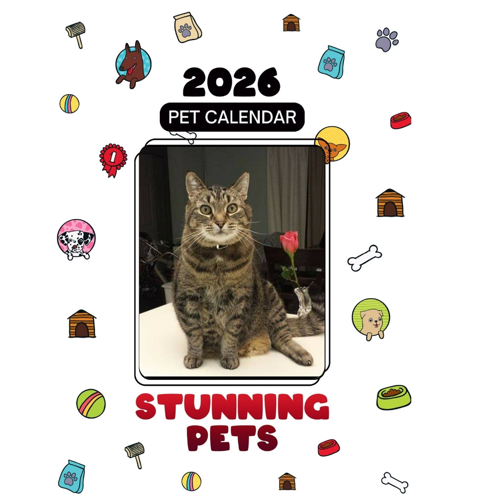 1 Headlines Stunning Pets: A 2026 Pet Calendar