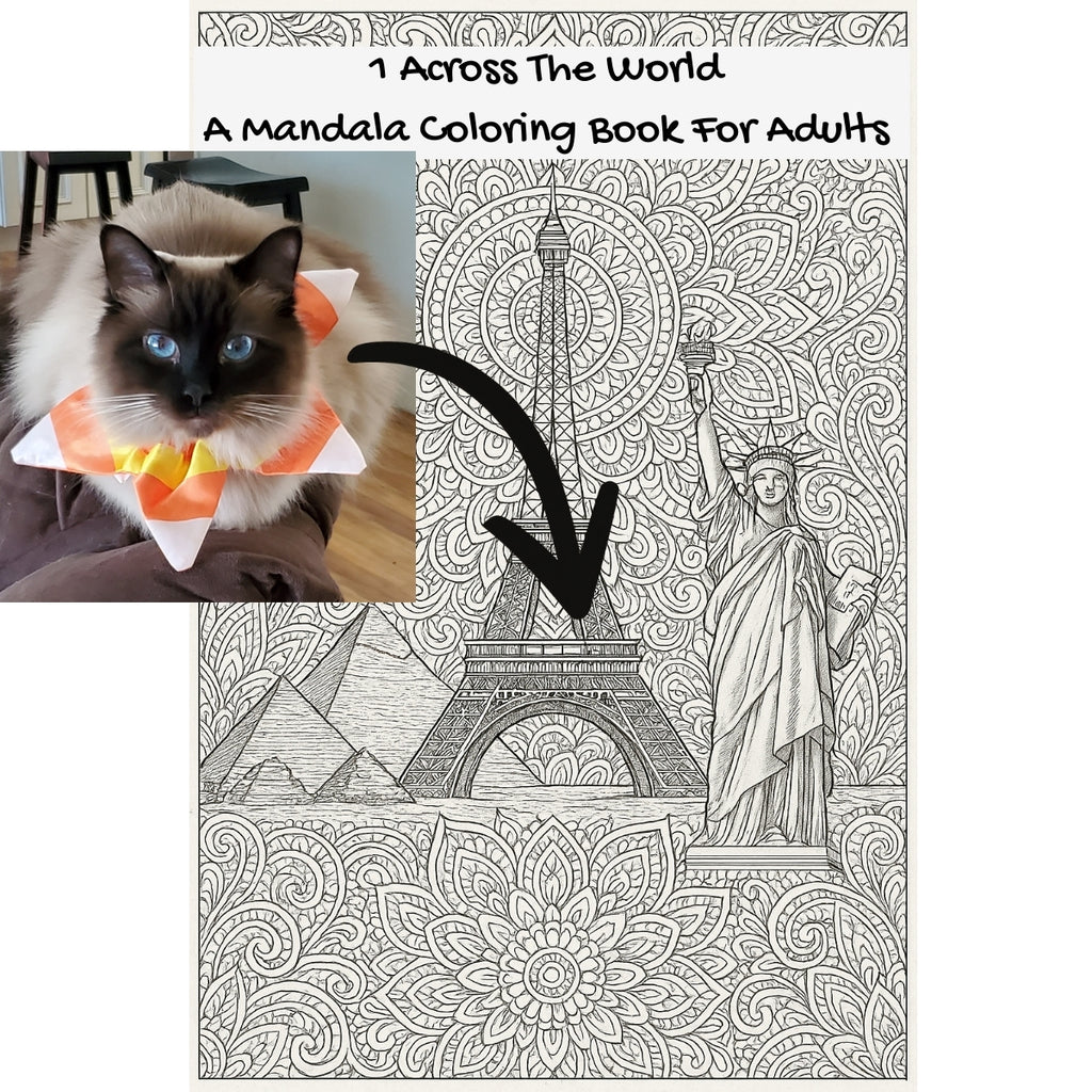 1 Across The World: A Mandala Coloring Book For Adults