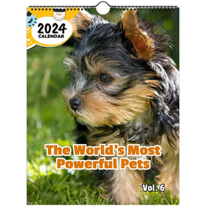 The World's Most Powerful Pets Volume Six: 2024 Wall Calendar (Published)