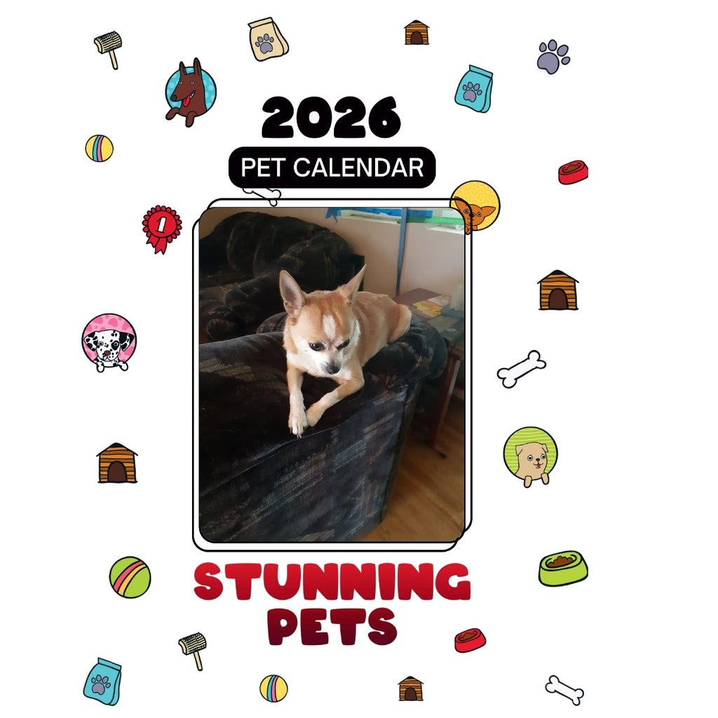 1 Headlines Stunning Pets: A 2026 Pet Calendar