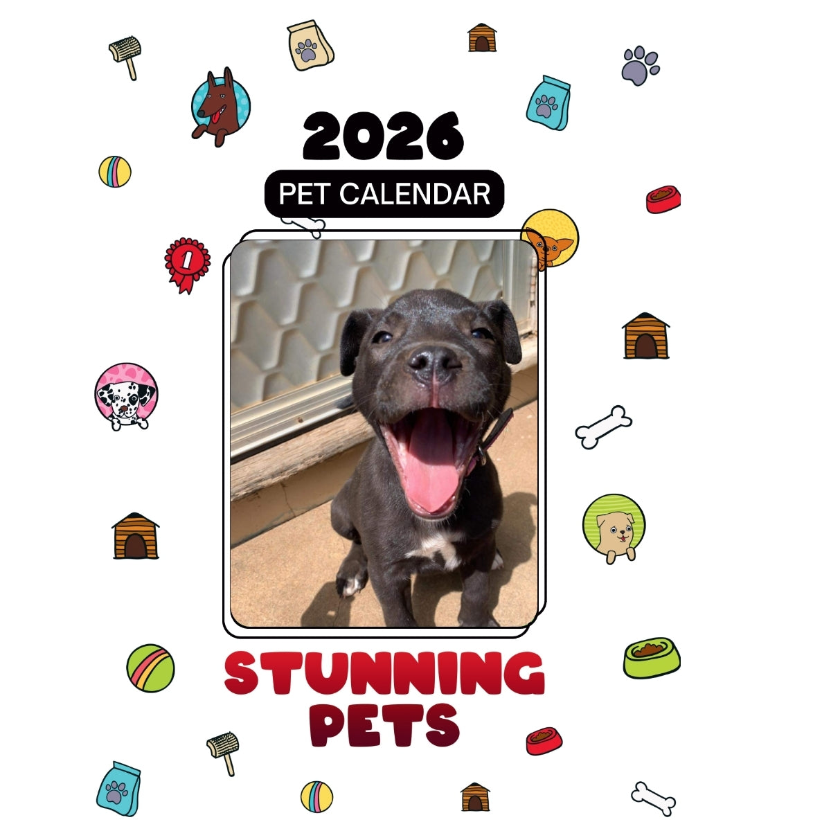 1 Headlines Stunning Pets: A 2026 Pet Calendar