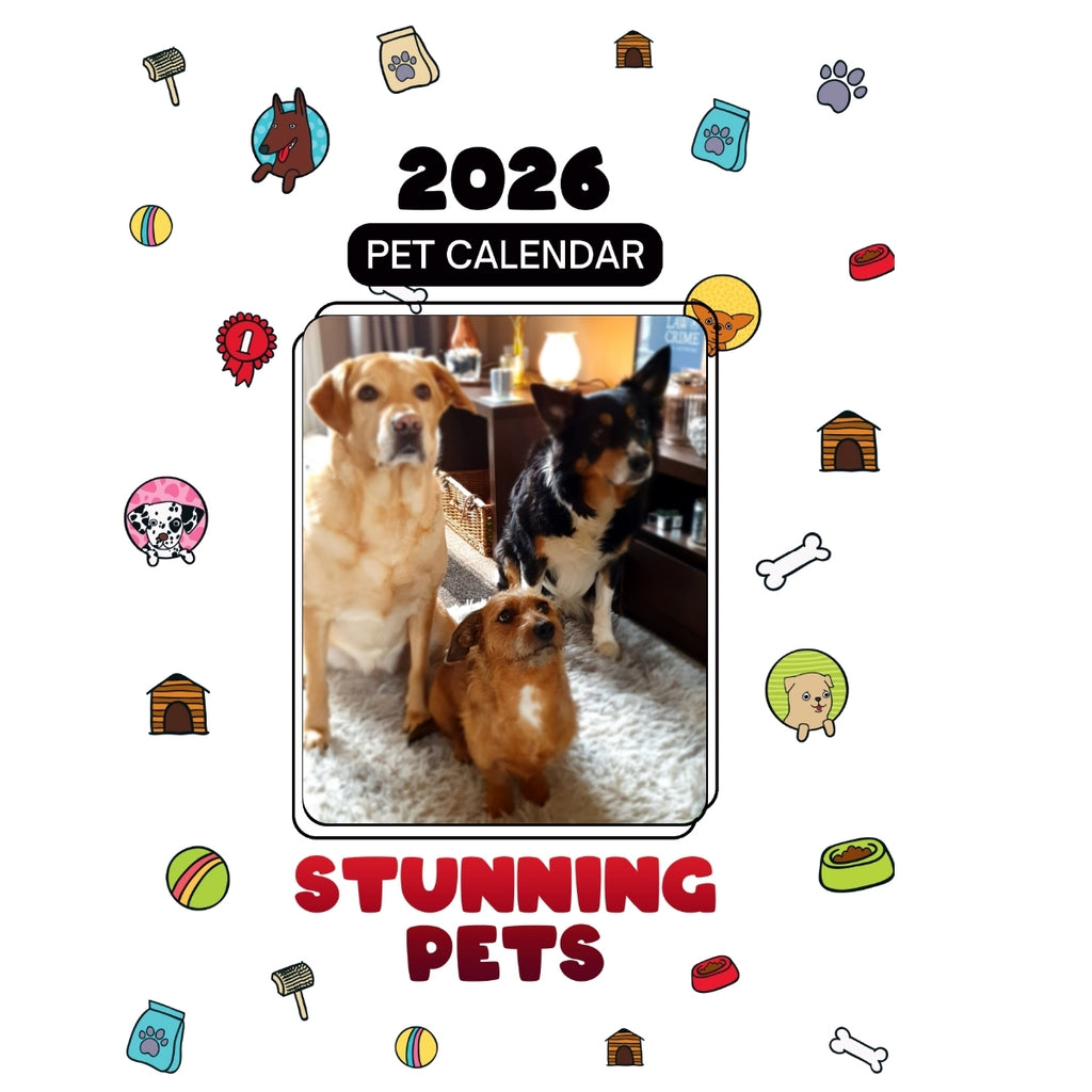 3 Dogs Headlines Stunning Pets: A 2026 Pet Calendar