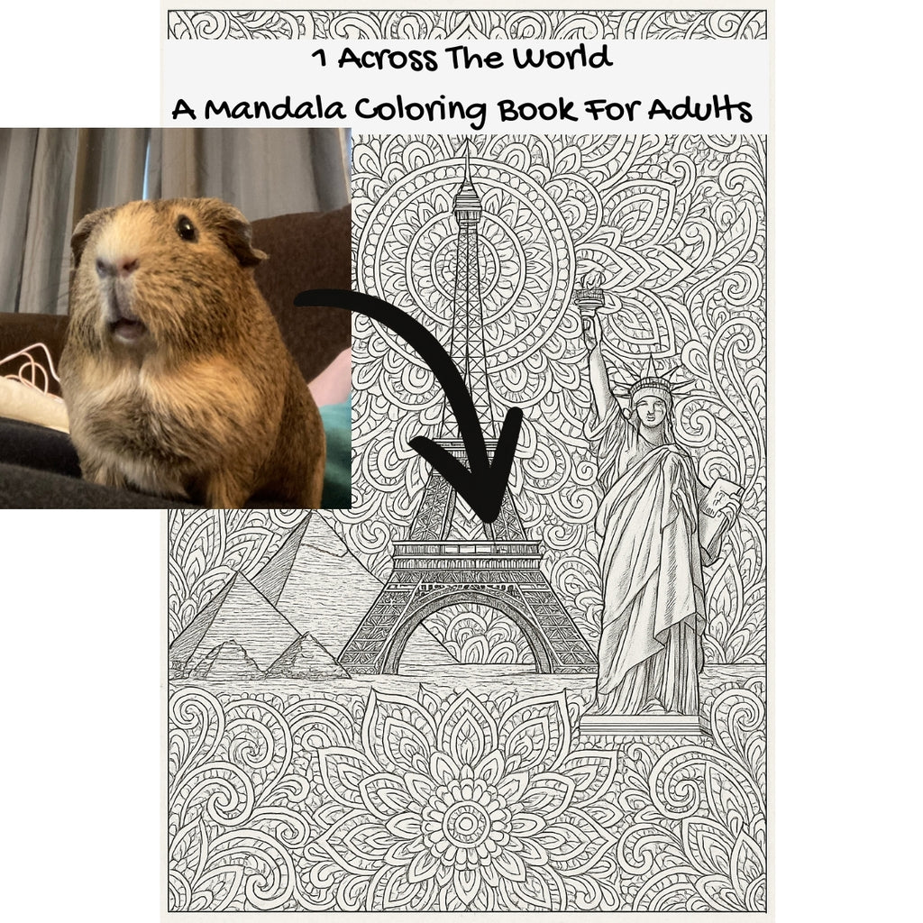 1 Across The World: A Mandala Coloring Book For Adults
