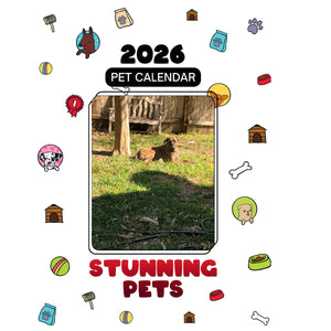 Mia The Mastiff Headlines Stunning Pets: A 2026 Pet Calendar