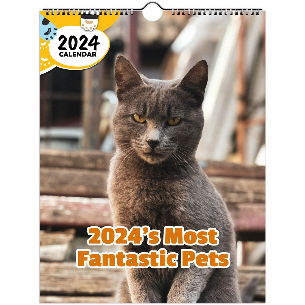 2024's Most Fantastic Pets: 2024 Wall Calendar (Published)
