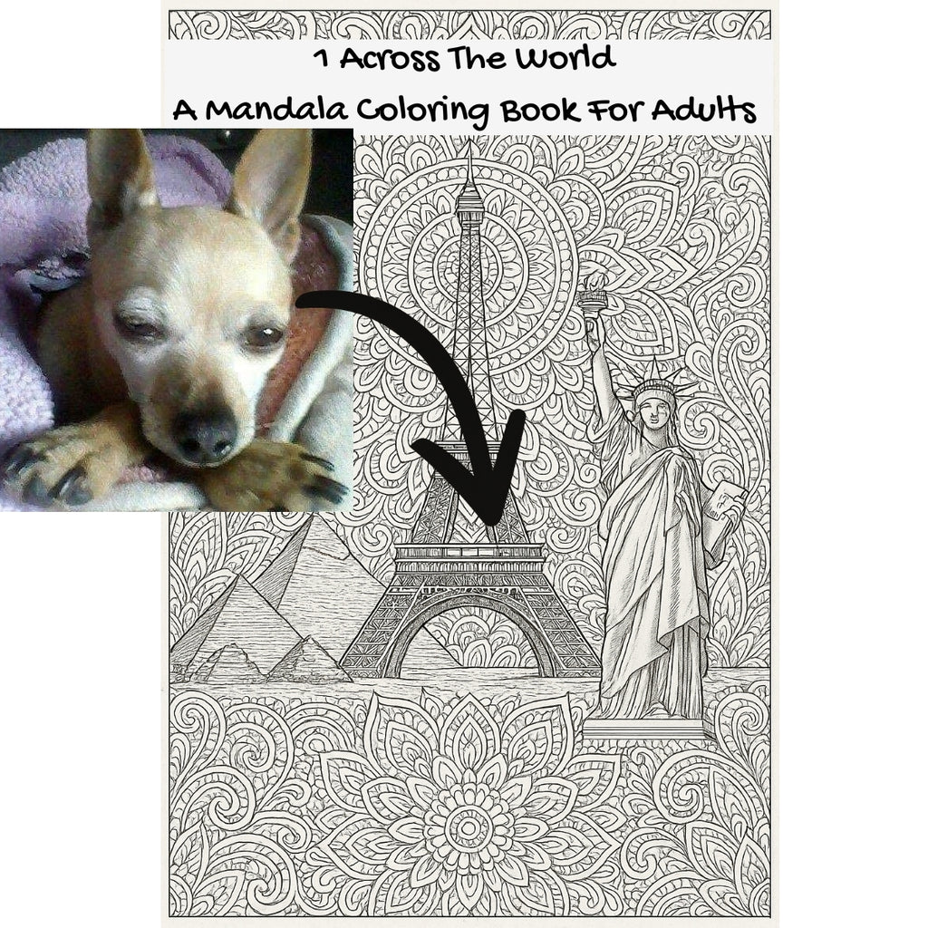 1 Across The World: A Mandala Coloring Book For Adults