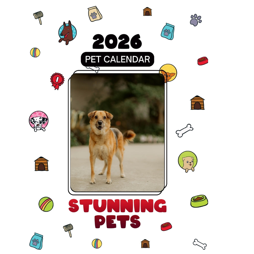 1 Headlines Stunning Pets: A 2026 Pet Calendar