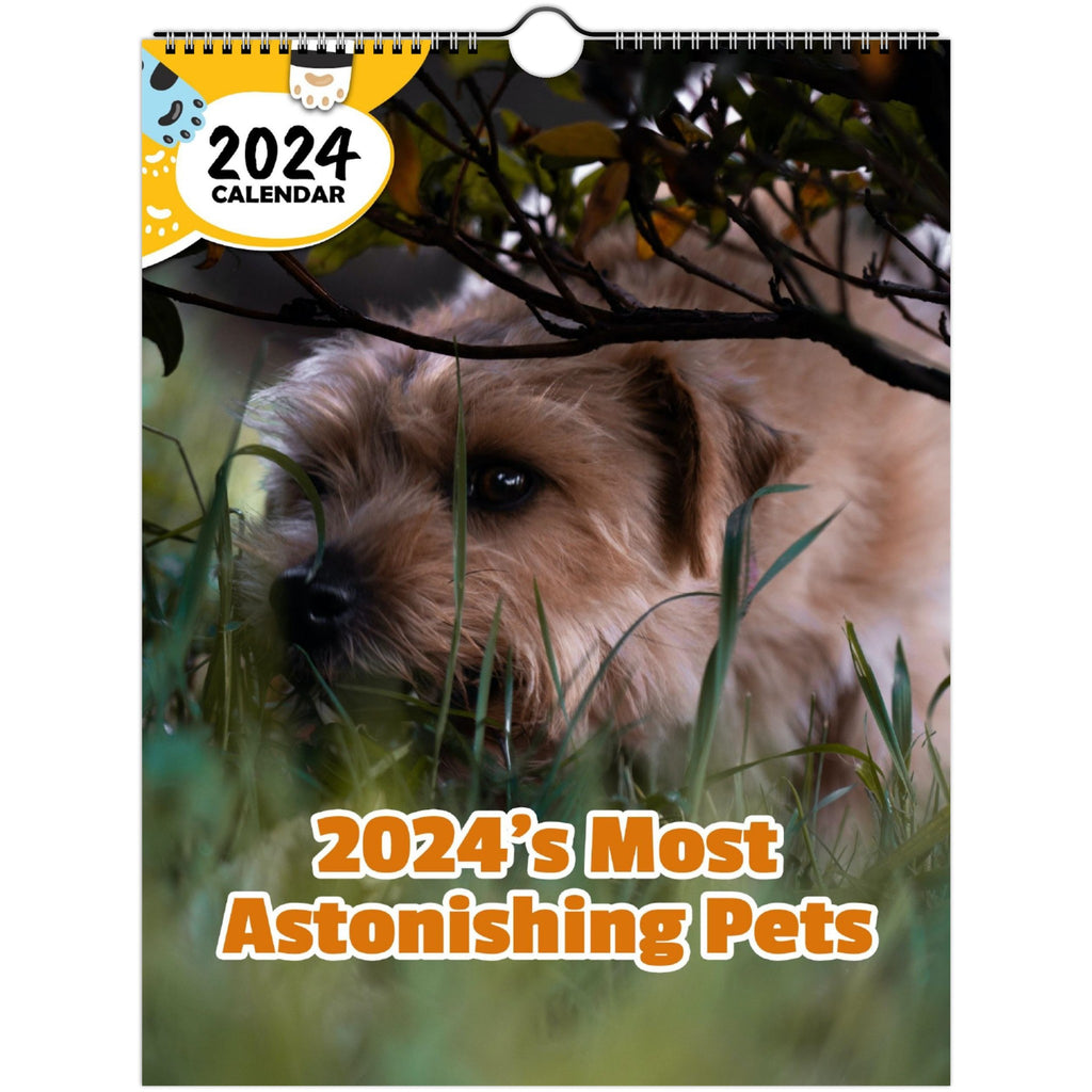 2024's Most Astonishing Pets: 2024 Wall Calendar (Published)