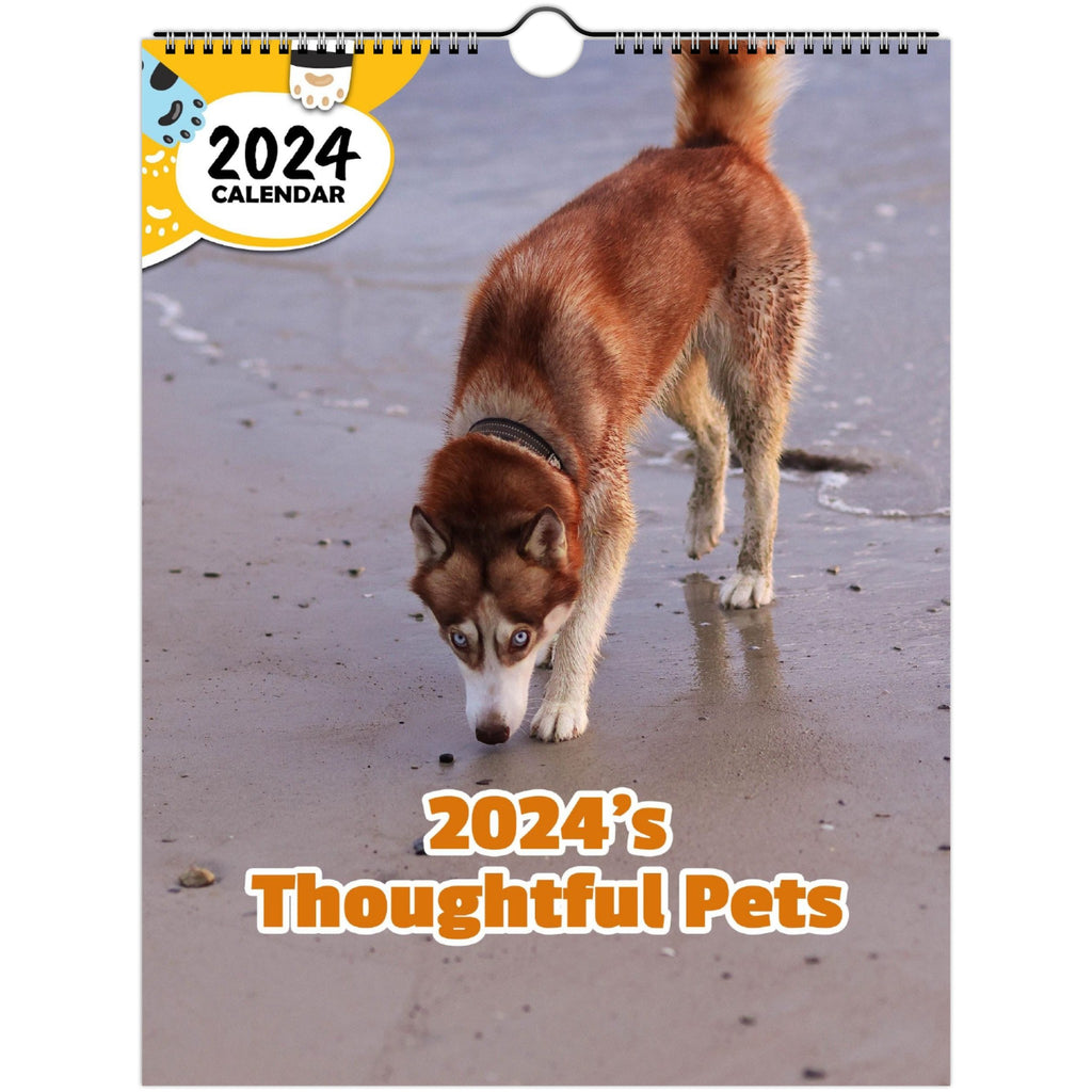 2024's Thoughtful Pets: 2024 Wall Calendar (Published)