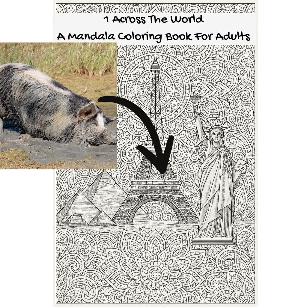 1 Across The World: A Mandala Coloring Book For Adults