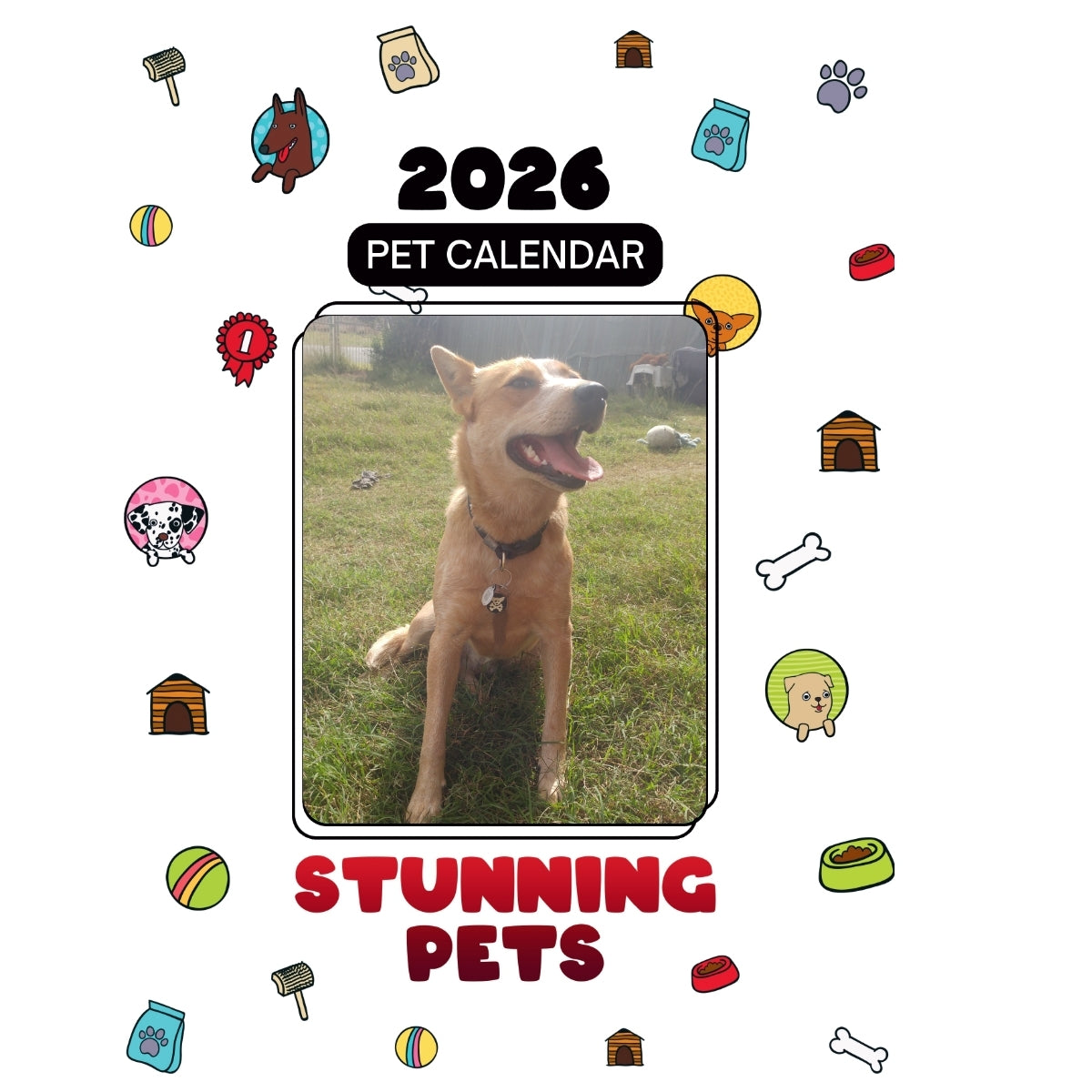 1 Headlines Stunning Pets: A 2026 Pet Calendar