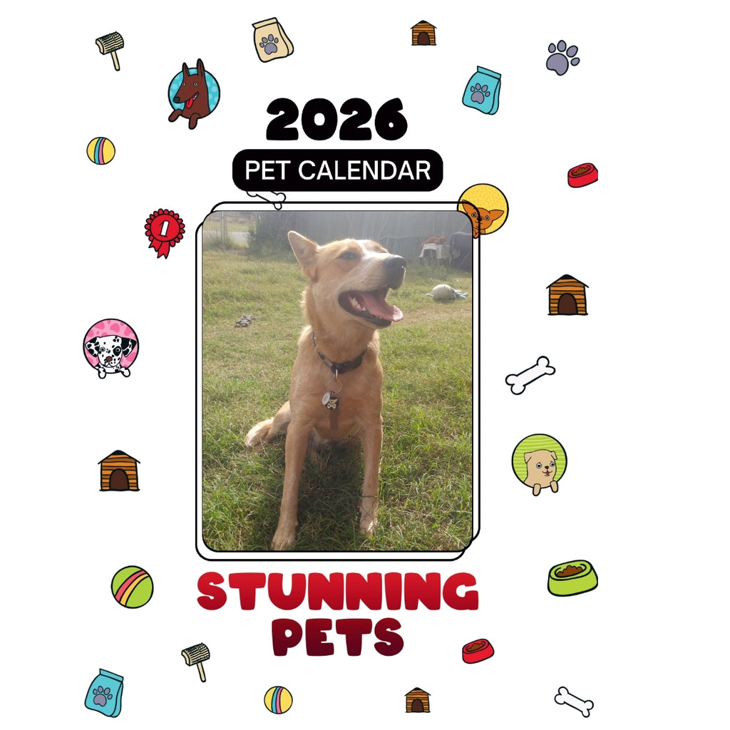 1 Headlines Stunning Pets: A 2026 Pet Calendar