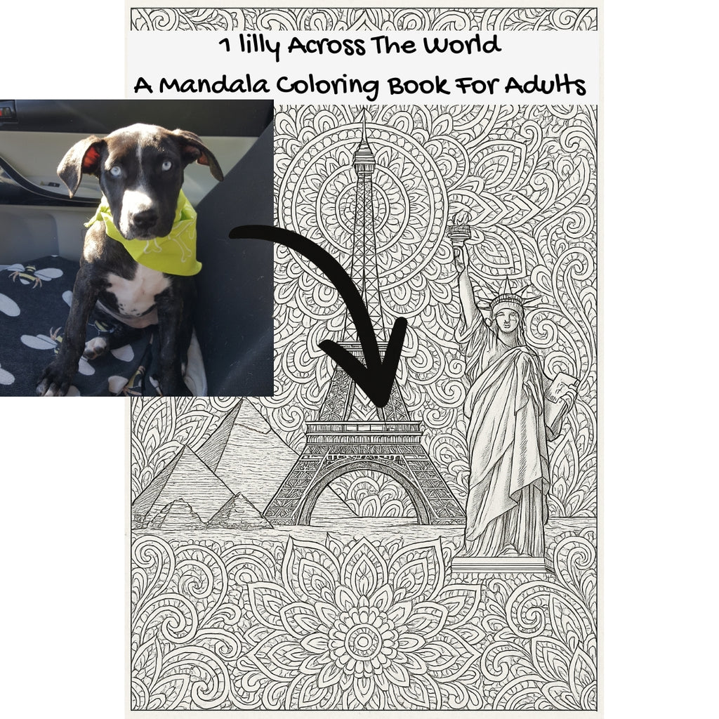 1 lilly Across The World: A Mandala Coloring Book For Adults