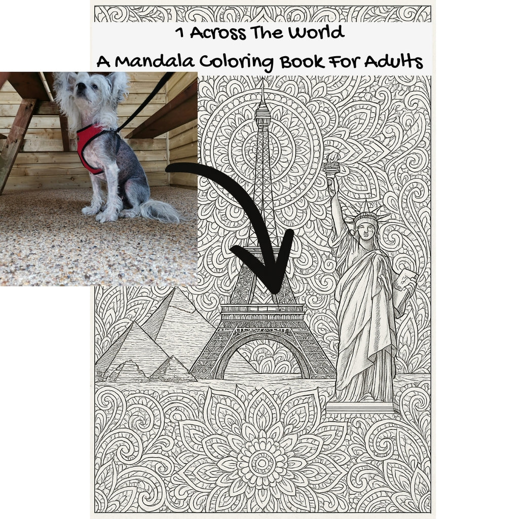 1 Across The World: A Mandala Coloring Book For Adults