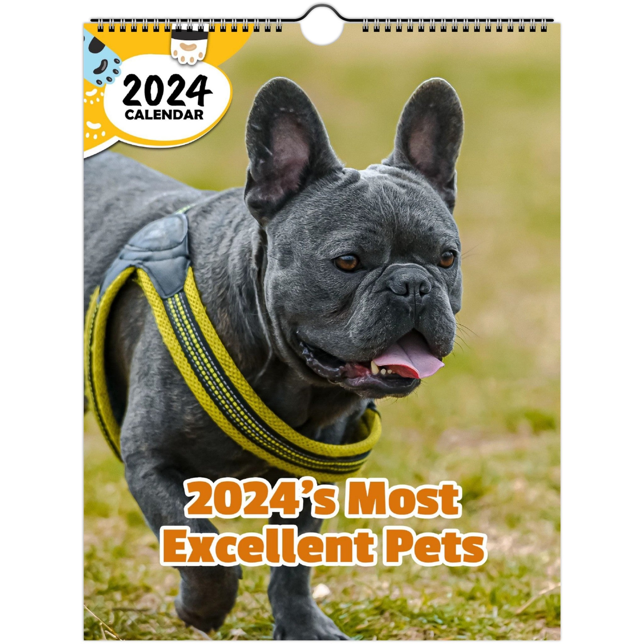 2024's Most Excellent Pets: 2024 Wall Calendar (Published)