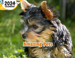 Amazing Pets Volume Five: 2024 Wall Calendar (Published)
