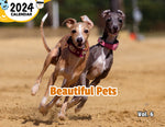 Beautiful Pets Volume Six: 2024 Wall Calendar (Published)