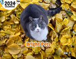 Bright Pets Volume Seven: 2024 Wall Calendar (Published)