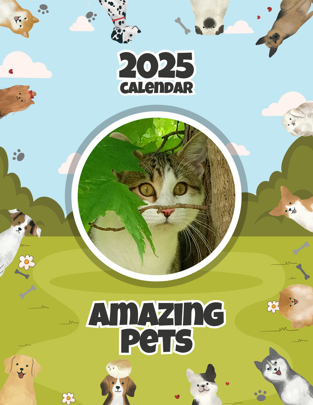 Amazing Pets: 2025 Wall Calendar (Pre-Order)