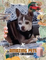 Amazing Pets: 2025 Wall Calendar (Pre-Order)