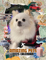 Amazing Pets: 2025 Wall Calendar (Pre-Order)