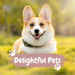 Delightful Pets: 2024 Wall Calendar (Pre-Order)