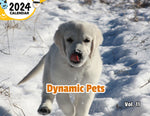 Dynamic Pets Volume Eleven: 2024 Wall Calendar (Published)