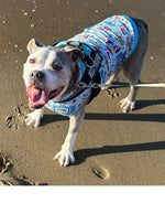 Amazing Pets: 2025 Wall Calendar (Pre-Order)