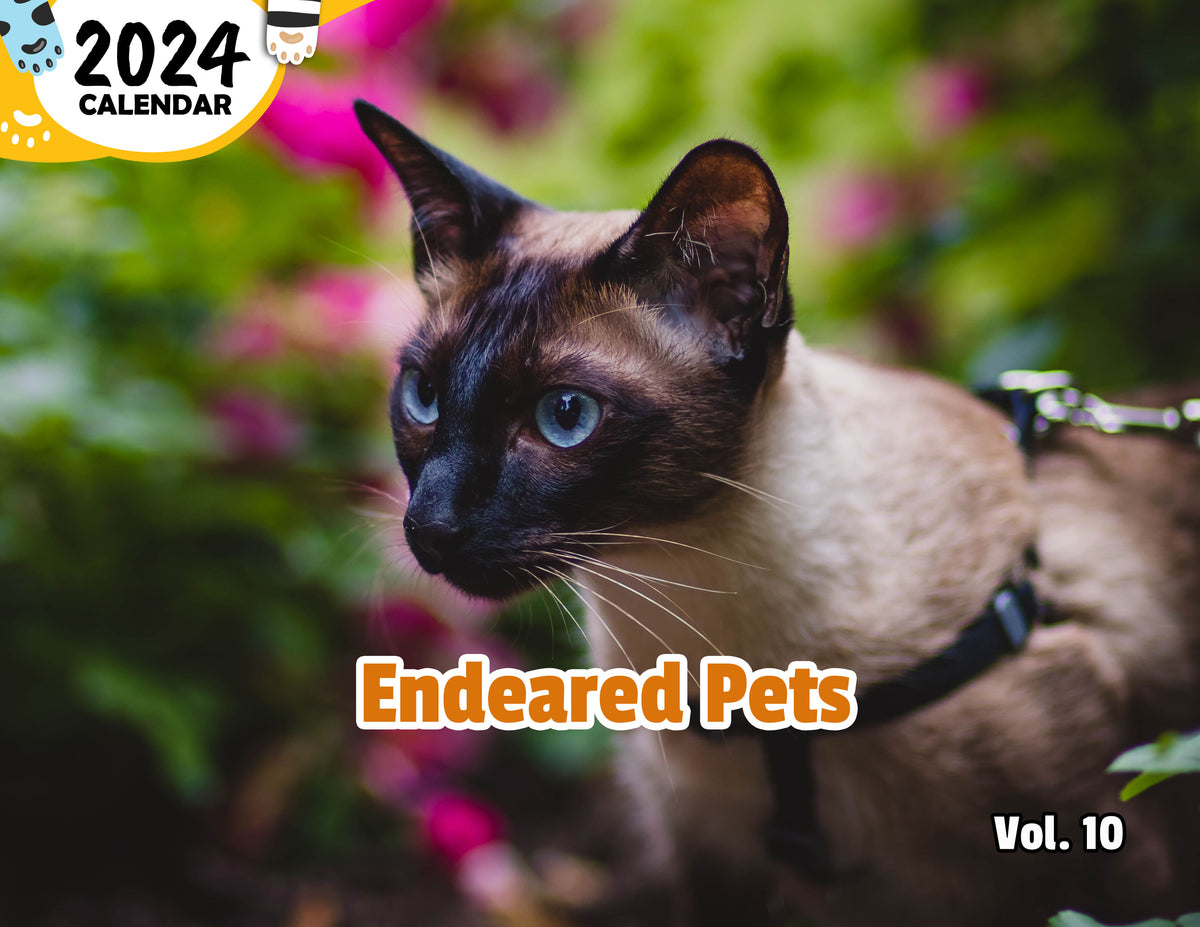 Endeared Pets Volume Ten: 2024 Wall Calendar (Published) – Praise My Pet!