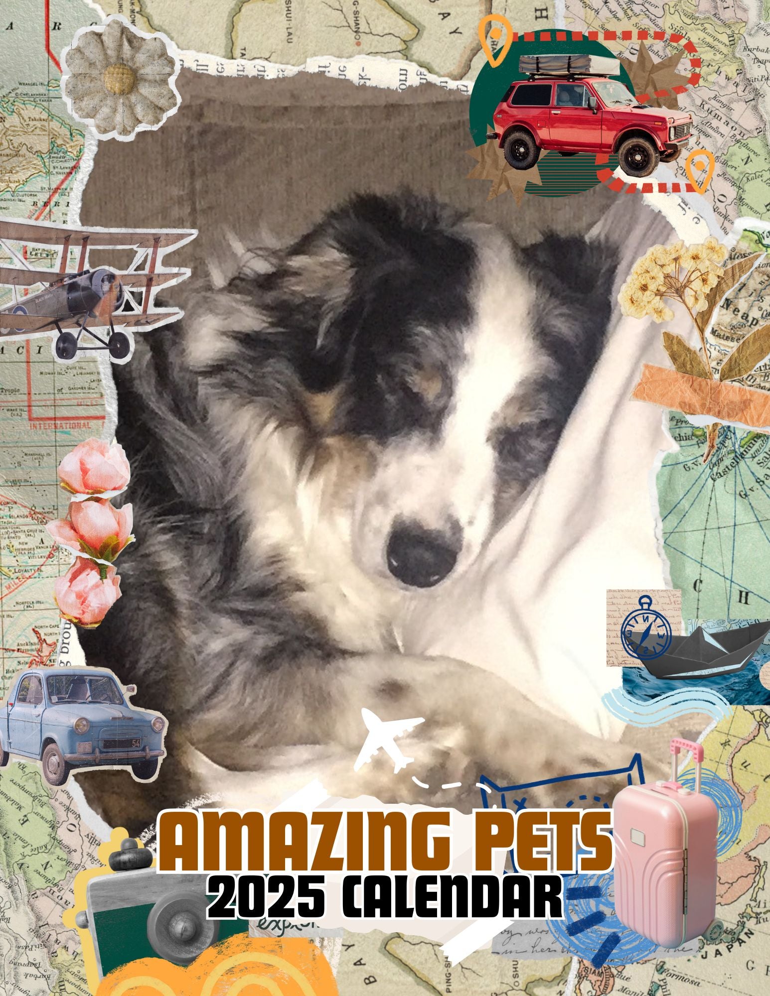 Amazing Pets: 2025 Wall Calendar (Pre-Order)
