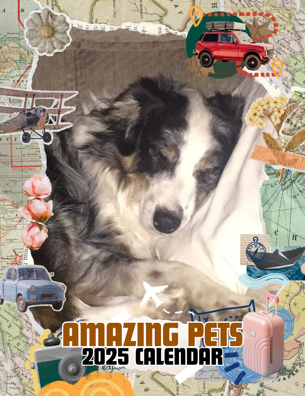 Amazing Pets: 2025 Wall Calendar (Pre-Order)