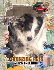 Amazing Pets: 2025 Wall Calendar (Pre-Order)